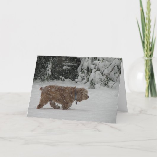 Sneeuw Cocker-spaniël Feestdagen Kaart (Voorkant)