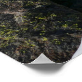 Sneeuw dat smelt op de Rocky Mountains Poster (Hoek)