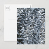 Sneeuw Dennenboom Textuur Briefkaart (Voorkant / Achterkant)