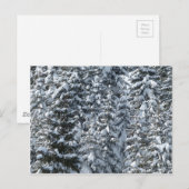 Sneeuw Dennenboom Textuur Briefkaart (Voorkant / Achterkant)