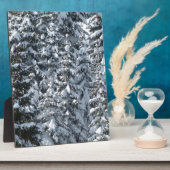 Sneeuw Dennenboom Textuur Fotoplaat (Zijkant)