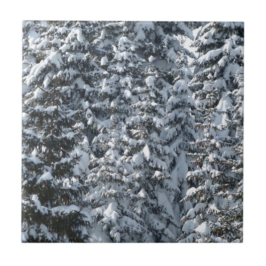 Sneeuw Dennenboom Textuur Tegeltje (Voorkant)