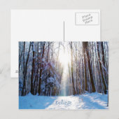 Sneeuw en bomen met zonnestralen briefkaart (Voorkant / Achterkant)