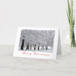 Sneeuw en bomen Vrolijk kerstfeest Feestdagen Kaart