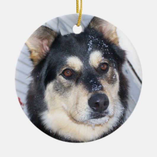 SNEEUW EN CHRISTMAS en devon vallende pistool leed Keramisch Ornament (Voorkant)