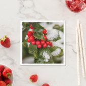 Sneeuw en Holly Servet (Insitu)