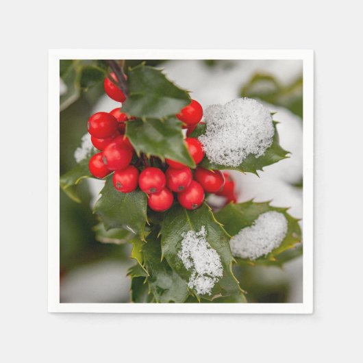 Sneeuw en Holly Servet (Voorkant)