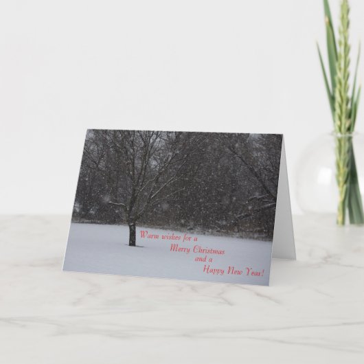 Sneeuw en kerstbomen feestdagen kaart (Voorkant)