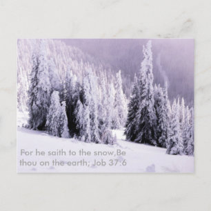 Sneeuw en kiezelvers briefkaart