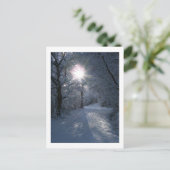 Sneeuw en licht briefkaart (Staand voorkant)