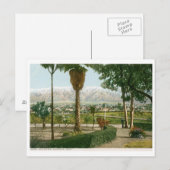 Sneeuw en Palmen, Pasadena CA Vintage Briefkaart (Voorkant / Achterkant)