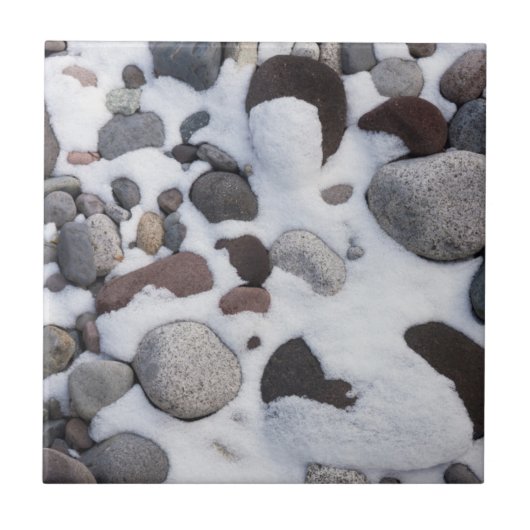 Sneeuw en Rocks, Nationaal Park Mt. Rainier 2 Tegeltje (Voorkant)