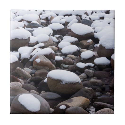 Sneeuw en Rocks, Nationaal Park Mt. Rainier Tegeltje (Voorkant)
