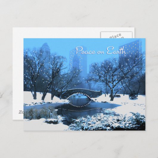 Sneeuw en vakantie verlichting in Central Park Pea Feestdagenkaart (Voorkant / Achterkant)