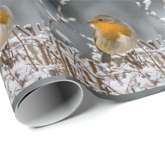 Sneeuw en Winter Robin Tree Branch White Kerstmis Cadeaupapier (Rol Hoek)