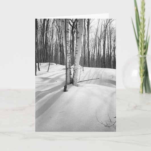 Sneeuw en Witte Berken Kaart (Voorkant)