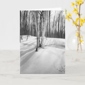 Sneeuw en Witte Berken Kaart (Gele Bloem)