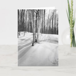 Sneeuw en Witte Berken Kaart