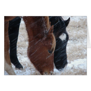 Sneeuw eten