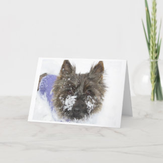 Sneeuw! Feestdagen Kaart