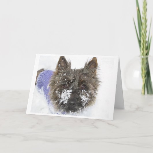 Sneeuw! Feestdagen Kaart (Voorkant)