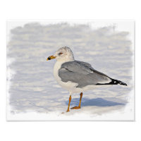 Sneeuw