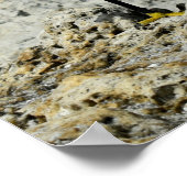 Sneeuw Gret op de rotsen Poster (Hoek)