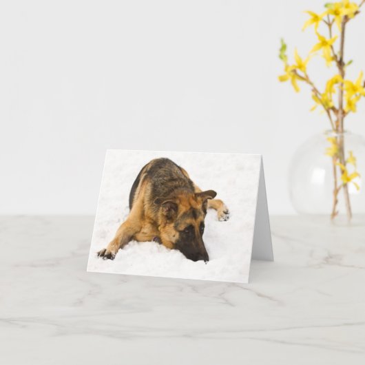 Sneeuw GSD - Kaart (Gele Bloem)