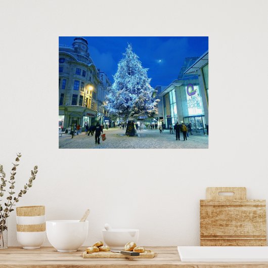 Sneeuw in Cardiff Poster (Keuken)