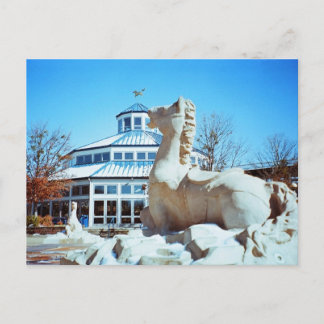 Sneeuw in Coolidge Briefkaart