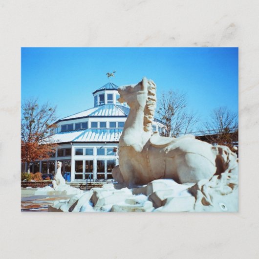 Sneeuw in Coolidge Briefkaart (Voorkant)