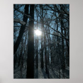 Sneeuw in de Bossen Poster (Voorkant)