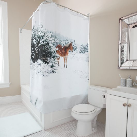 SNEEUW IN DE DALLENDE SNEEUW DOUCHEGORDIJN (In situ)