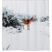 SNEEUW IN DE DALLENDE SNEEUW DOUCHEGORDIJN (Voorkant)