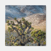 sneeuw in de doodvallei magneet (Voorkant)