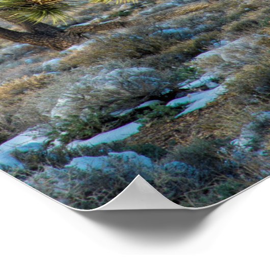 sneeuw in de doodvallei poster (Hoek)