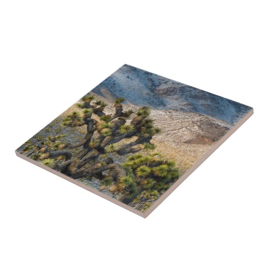 sneeuw in de doodvallei tegeltje (Zijkant)