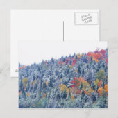 Sneeuw in de herfst briefkaart (Voorkant / Achterkant)