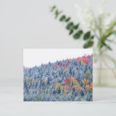 Sneeuw in de herfst briefkaart (Staand voorkant)