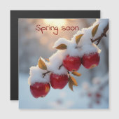 Sneeuw in de lente op rode appels (Voorkant / Achterkant)