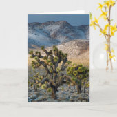 Sneeuw in Death Valley Kaart (Gele Bloem)