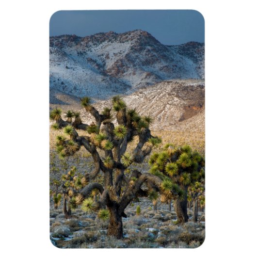 Sneeuw in Death Valley Magneet (Verticaal)
