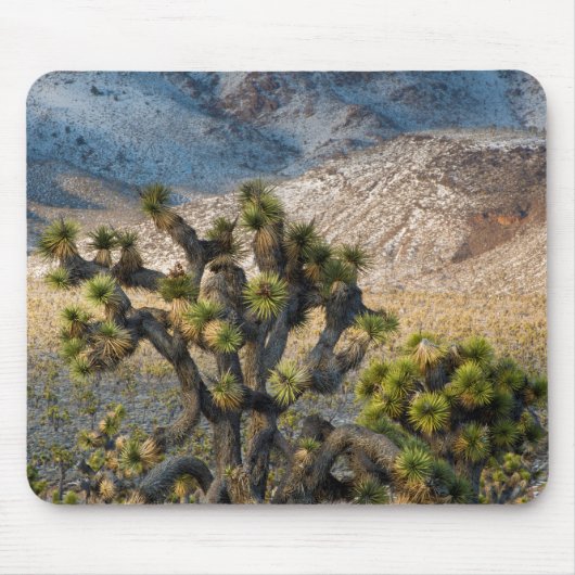 Sneeuw in Death Valley Muismat (Voorkant)