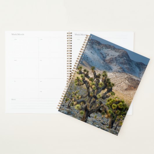 Sneeuw in Death Valley Planner (Display)