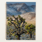 Sneeuw in Death Valley Planner (Voorkant)