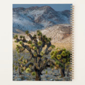 Sneeuw in Death Valley Planner (Achterkant)