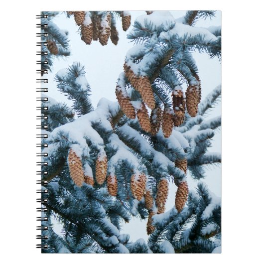 Sneeuw in het Notitieboek Pines (Voorkant)