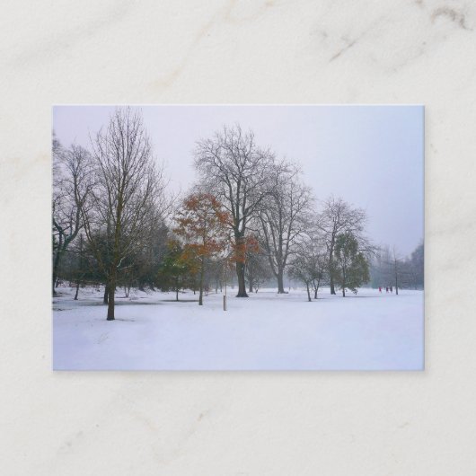 Sneeuw in het park, foto van Mini Visitekaartje (Voorkant)