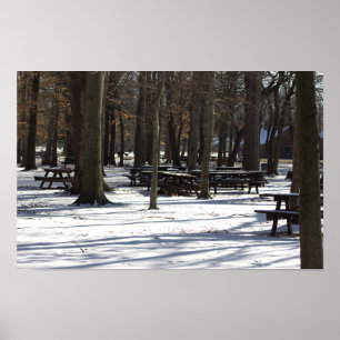 Sneeuw in het Park Poster