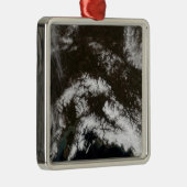 Sneeuw in het zuidelijk deel van Alaska Metalen Ornament (Rechts)